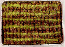 Load image into Gallery viewer, Chocolate Turkish Pistachio Royal Twist
